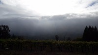 20171019_152126(0)