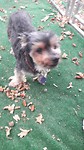 20171019_164813