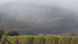 Rook in Napa
