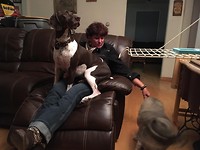 IMG-20181104-WA0003