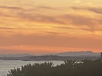IMG_9781