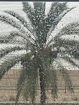IMG_0013