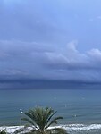 IMG_9990