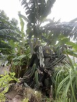 IMG_0045