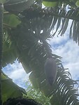 IMG_0044