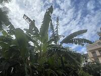 IMG_0043