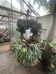 IMG_0040