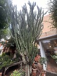 IMG_0038