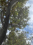 IMG_0051