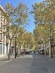 IMG_0070