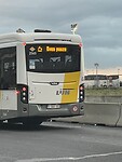 IMG_1175