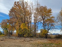5cd09455-07e4-47d1-9347-d7759b18f8d0