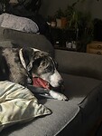 IMG_1426