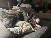 IMG_1428