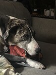 IMG_1427