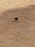 67183561-0a19-40c1-895d-cf25f0d29718