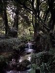 Waterval bij ochtendgloren