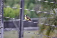 DSC00201