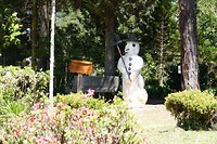 DSC00204