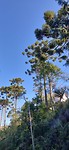 IMG_20191001_155935