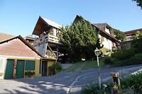 DSC00225