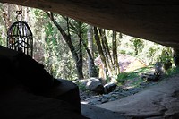 DSC00236