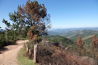 DSC00260