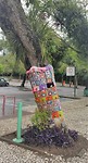 20191007_152903 (2)