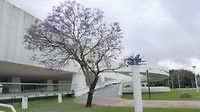 20191007_153039 (2)