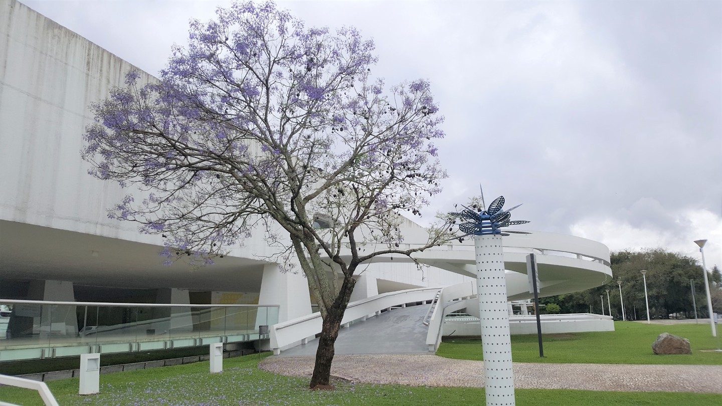 20191007_153039 (2)
