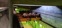 IMG_20191011_114522