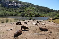 1.DSC00466