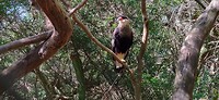 3.IMG_20191018_144029