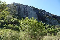 4.DSC00472