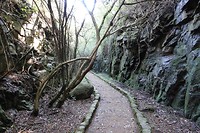 8.DSC00483