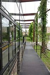 DSC00514