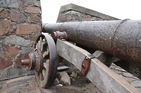 DSC00519