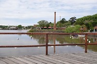 DSC00537