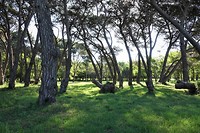 DSC00541 (2)