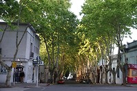 DSC00546