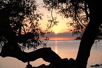 DSC00564