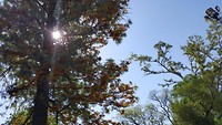 06.20191028_154239