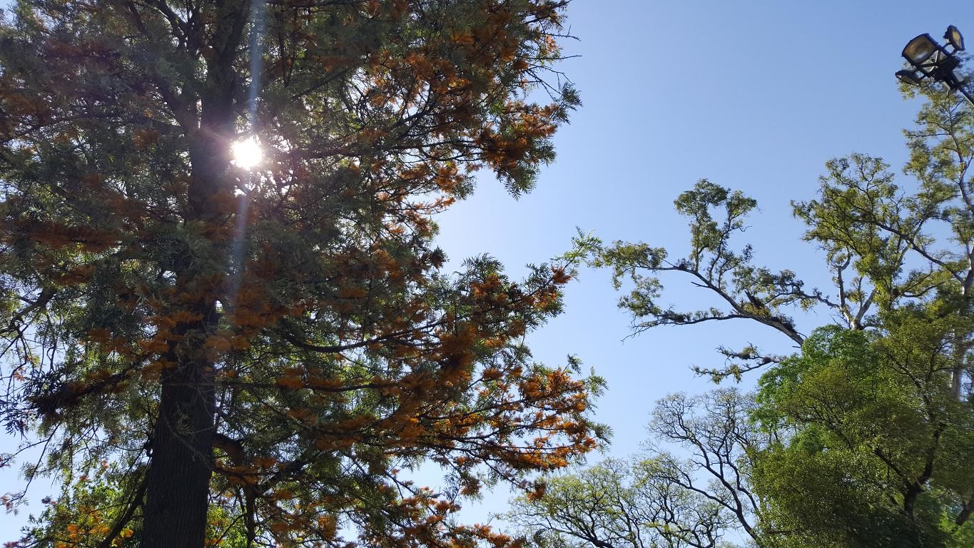 06.20191028_154239