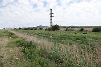 DSC00616