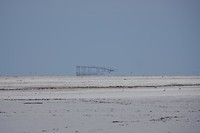 DSC00634