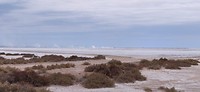 DSC00635