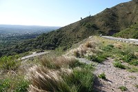 DSC00649