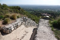 DSC00650
