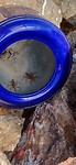 IMG_20191031_133629