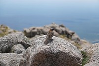 DSC00692